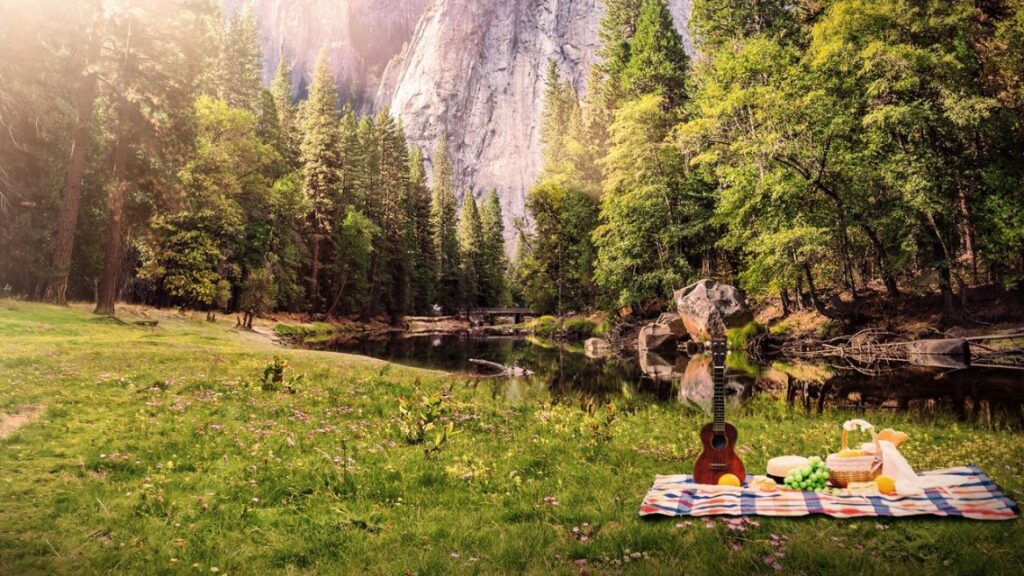 Zielone otoczenie – naturalny sposób na ukojenie nerwów